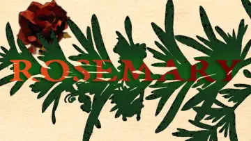 Zasłona do filmu "Rosemary" #919060