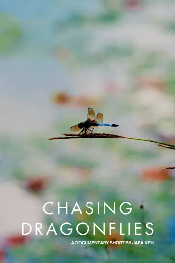 Plakat do filmu "Chasing Dragonflies" #917983