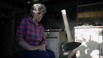 Zasłona do filmu "Pionul lui Lenin" #912264