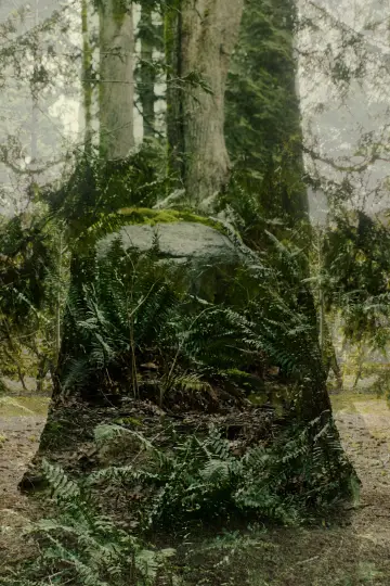 Plakat do filmu "Vertical Remains" #912946