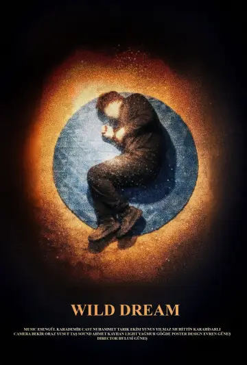 Plakat do filmu "Yaban Düşü" #917712