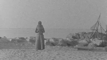 Zasłona do filmu "Où vivre insiste" #913399