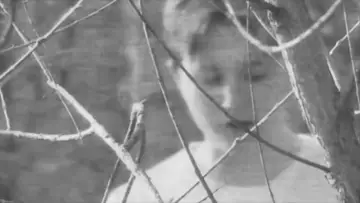 Zasłona do filmu "Montage of Vitrine" #917728