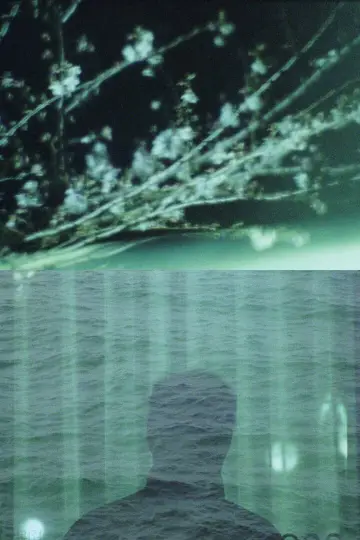Plakat do filmu "Le Naufragé" #917501