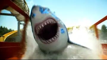 Zasłona do filmu "Water Park Shark" #1154667