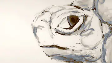 Zasłona do filmu "Tortoise" #1186908