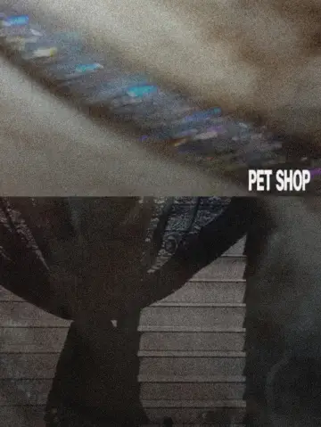 Plakat do filmu "Pet Shop" #914397