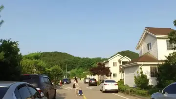 내 동생의 아내