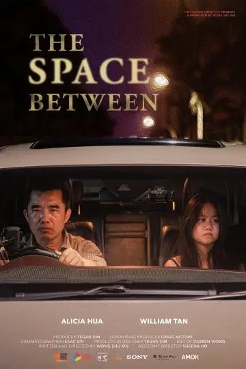 Plakat do filmu "The Space Between" #978714