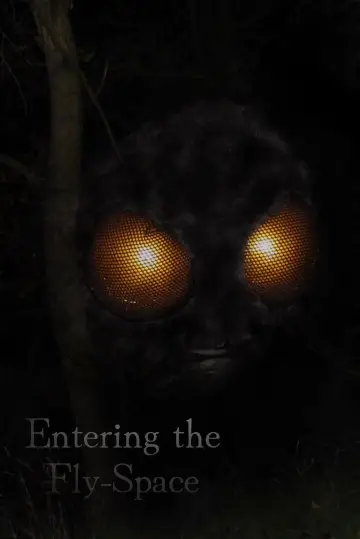 Entering the Fly-Space plakat