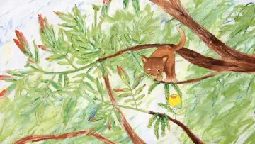 Zasłona do filmu "Patouille et Momo, les contes de la forêts" #979197
