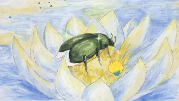 Zasłona do filmu "Patouille et Momo, les contes de la forêts" #979199