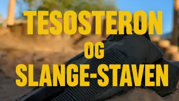 Zasłona do filmu "TESTOSTERON OG SLANGE-STAVEN" #952880