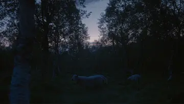 Zasłona do filmu "Det likner en kropp" #931925