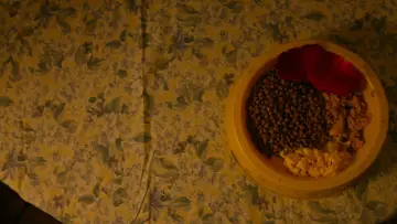 Zasłona do filmu "La Perte" #931827