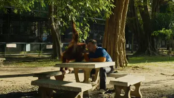 Zasłona do filmu "สุสานลิง" #927671