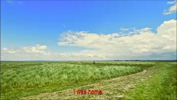 Zasłona do filmu "Loneliness and the Sheep" #929850