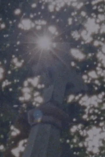 Plakat do filmu "Sacred To The Memory Of" #933219