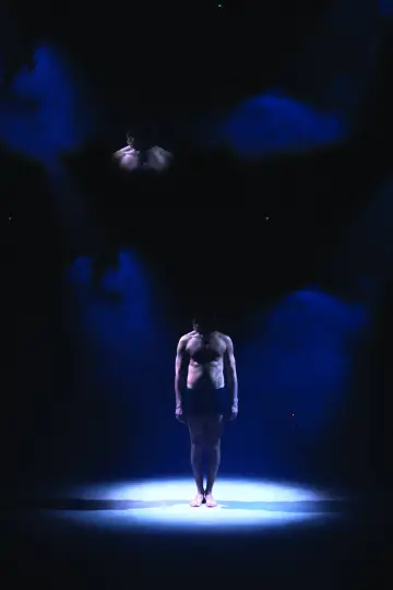 Plakat do filmu "to dance the absence" #933988