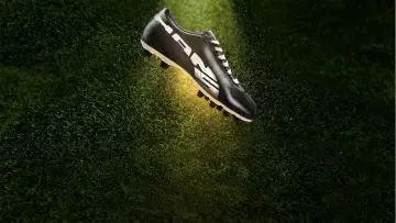El rey Puma