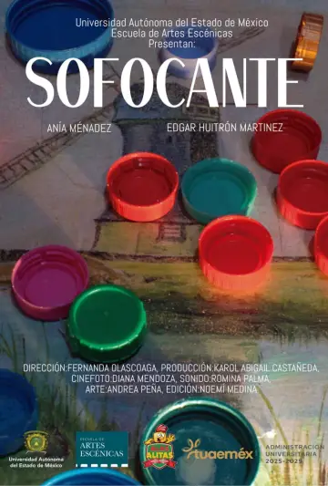 Plakat do filmu "Sofocante" #956211