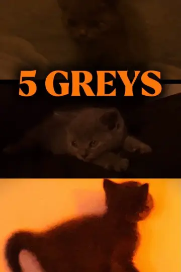 Plakat do filmu "5 Greys" #957252