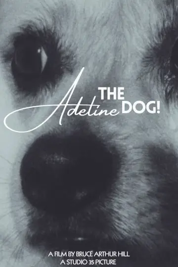 Adeline The Dog!