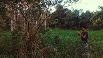 Zasłona do filmu "O Homem Estranho Dorme" #955580