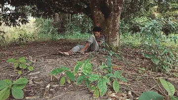 Zasłona do filmu "O Homem Estranho Dorme" #955581