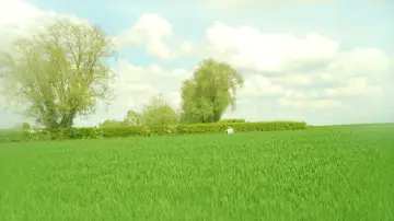 Zasłona do filmu "Hémisphère" #955556
