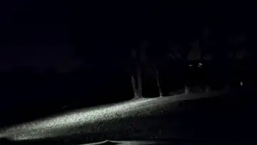Zasłona do filmu "Nightdrive" #955356