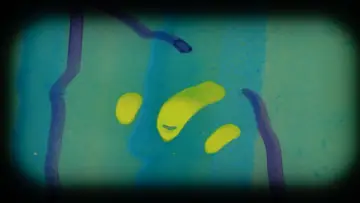Zasłona do filmu "Western Blot!" #1575177