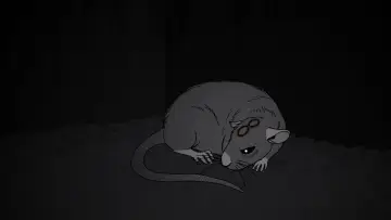 Zasłona do filmu "Lab Rat" #1169424