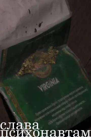 Plakat do filmu "Слава Психонавтам" #957887