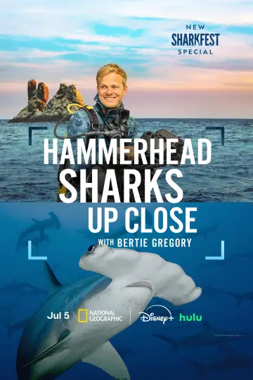 Hammerhead Sharks Up Close with Bertie Gregory