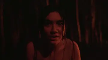 Zasłona do filmu "The Last Footage" #953502