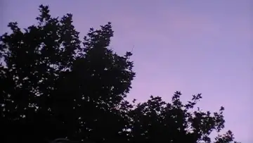 Zasłona do filmu "Towards The Night" #957525