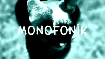 Zasłona do filmu "Monofonik" #981148