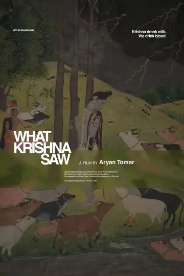 What Krishna Saw