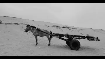 Zasłona do filmu "The Nomad