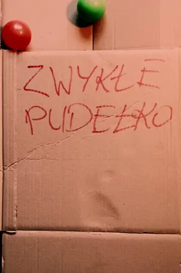 Plakat do filmu "ZWYKŁE PUDEŁKO" #957722