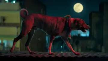 Zasłona do filmu "Ohh My Dog" #953637