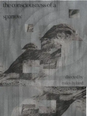 The Consciousness of a Sparrow plakat