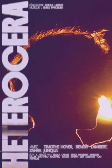 Plakat do filmu "HETEROCERA" #1154961
