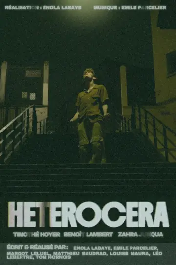 Plakat do filmu "HETEROCERA" #1154962