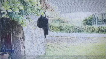Zasłona do filmu "L