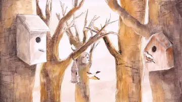 Zasłona do filmu "Le chant des oiseaux" #1295422