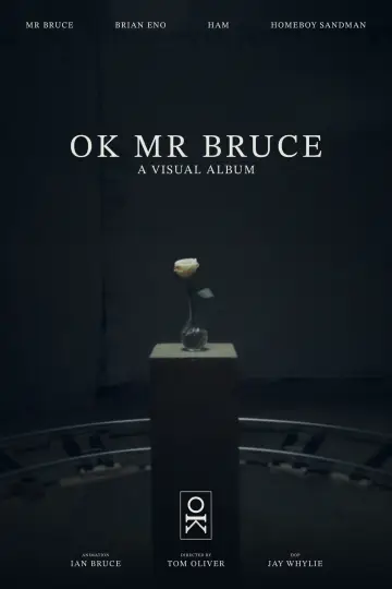 OK MR BRUCE