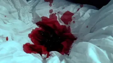Zasłona do filmu "cecelia" #1167345