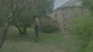 Zasłona do filmu "Le trésor des Soubeyran" #953845